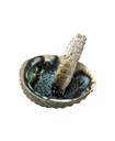 abalone252520with252520shell252520view__61332.1646819143.1280.12