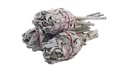 57410252520torch252520sage252520422__34864.1646819951.1280.1280
