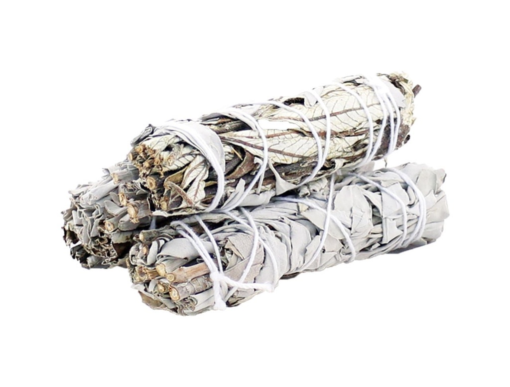 91344252520white252520sage252520252520yerba252520santa252520422_