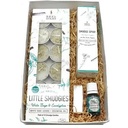 Eucalyptus Aroma Smudge Kit