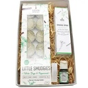 Peppermint Aroma Smudge Kit
