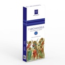 Soul Sticks 7 Archangels Premium Incense Sticks – 90g