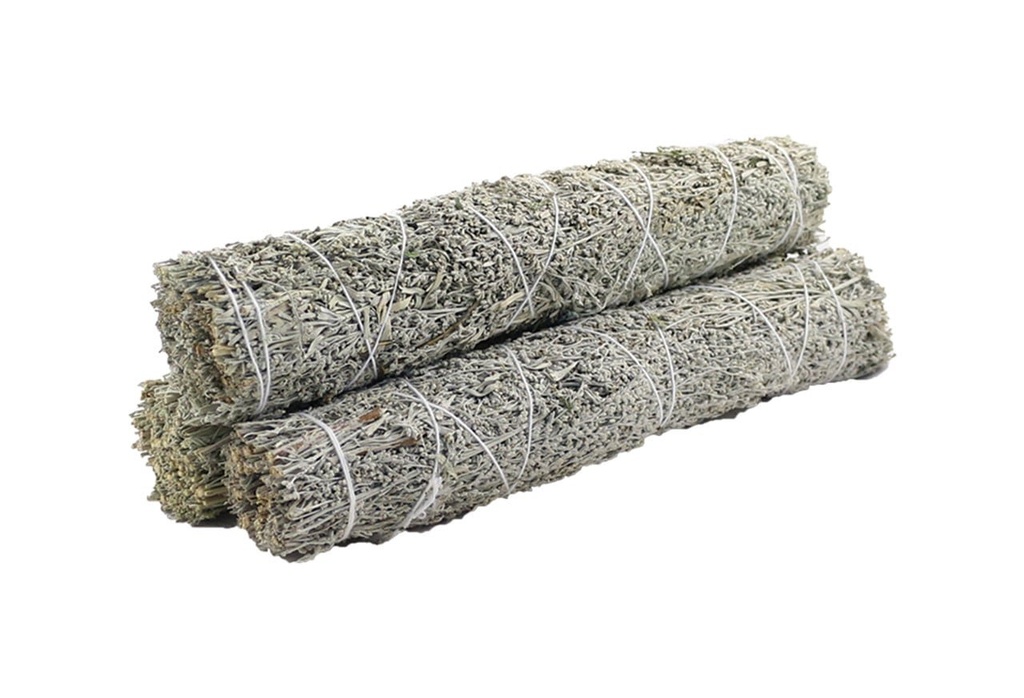 Blue Sage Smudge Stick – 9"