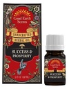 Success & Prosperity Herbal Intention Oil – 10ml