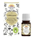 Carom Essential Oil – 10ml