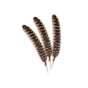 Smudging Feather – 4"-5"