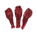 Dragon's Blood Sage Torch Smudge Stick – 3"-4"