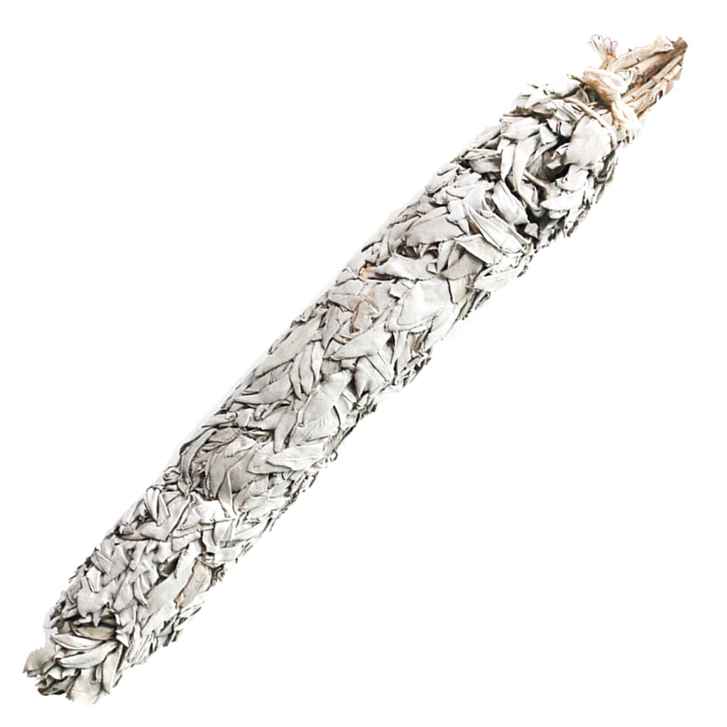 Jumbo California White Sage Smudge Stick – 20"