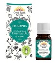 Eucalyptus Essential Oil – 10ml
