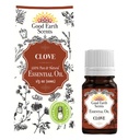 Clove Essential Oil – 10ml