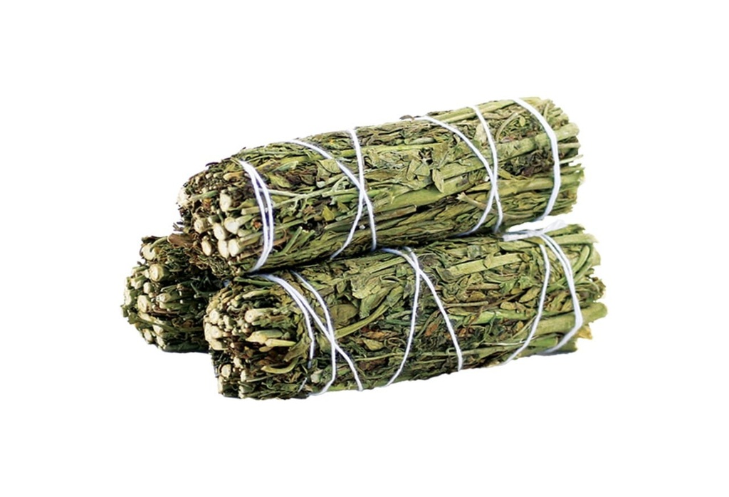 Ruda Rue Sage Smudge Stick – 4"