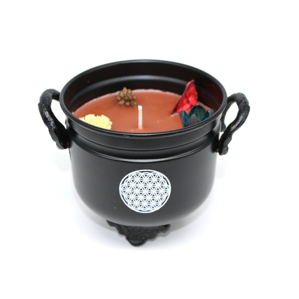 [14051] Palo Santo 7 Chakras Cauldron Candle – 11.5 oz