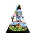 Shiva 7"