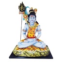Shiva (11")