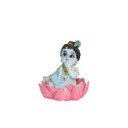 Krishna (2.5")