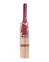 Cricket Bat (Premium Quality) Comes with Carry Bag