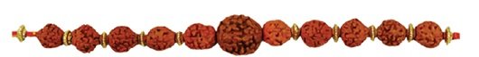 Rakhi (Premium Range)