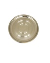 Plate  (10.5”)