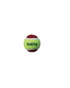 Cricket Soft Ball