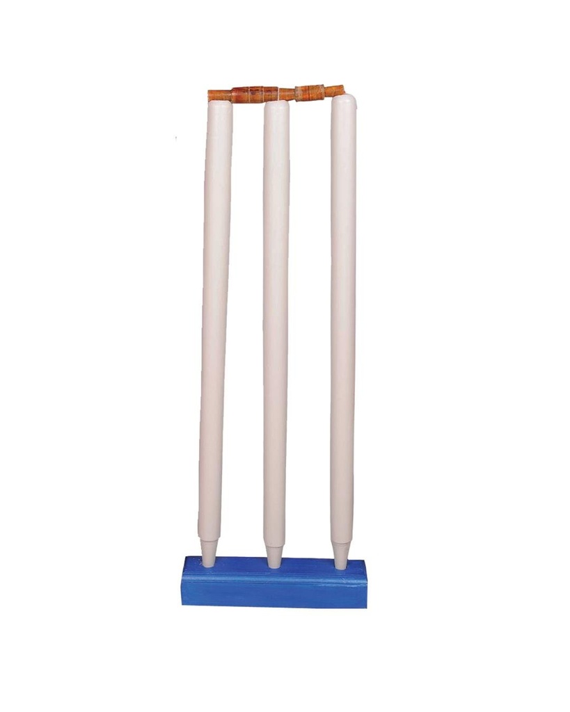 Wicket Kit(3 stumps, Gullys, Stand