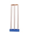 Wicket Kit(3 stumps, Gullys, Stand