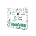 Gilded Triumph Eucalyptus Scented Ritual Candles – Pack of 20