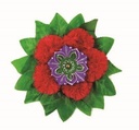 Rangoli