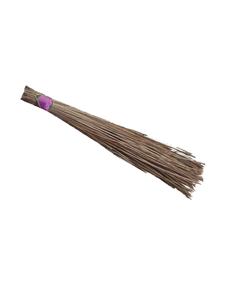 Traditional Indian Seek Broom
