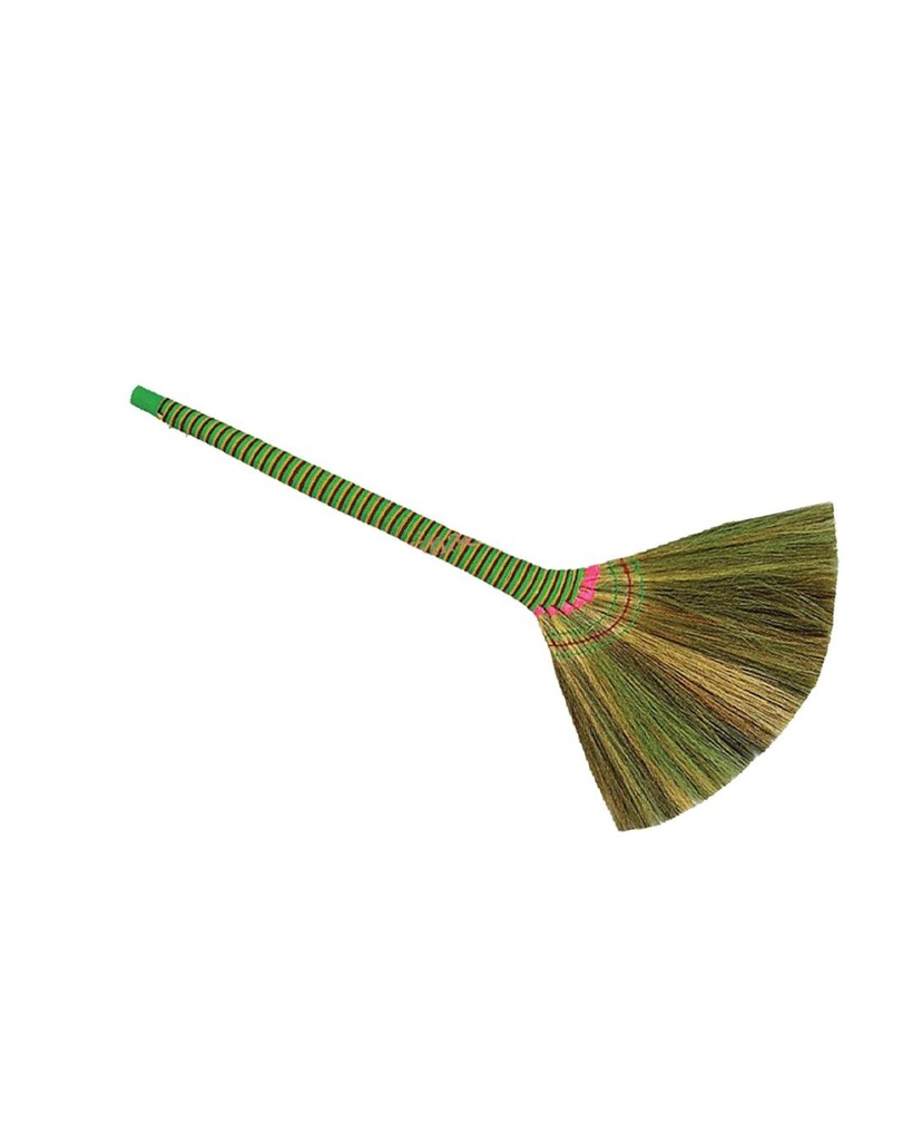 Indian Broom