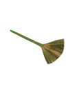 Indian Broom
