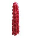 Flower Ladh (60”)