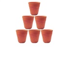 Water Cup (Pack of 6) (3”)