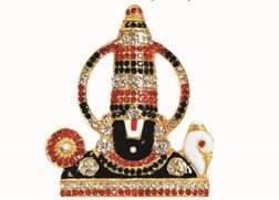 Vishnu Ji 3.5"
