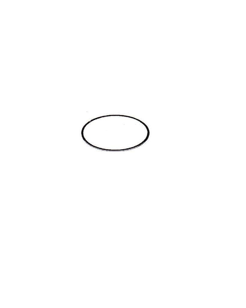 Gasket (Bigboy)