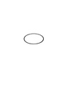 Gasket (Bigboy)