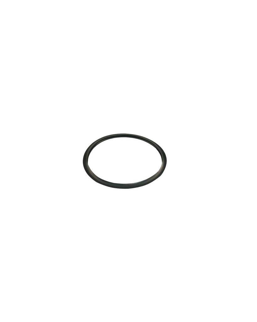 Handi Cooker Gasket