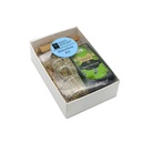 Good Health Intention Set