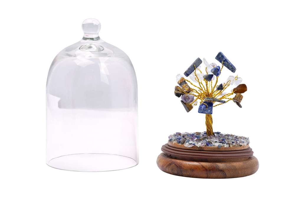 Clarity and Focus Crystal Dome Tree